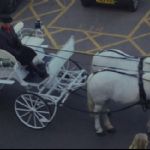 IMG_1202 Horse 2(1)